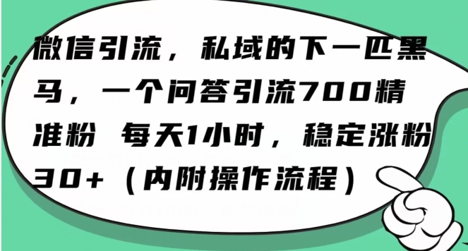 怎么搞精准创业粉？微信新赛道，每天一小时，利用Ai一个问答日引100精准粉-连烟牍库