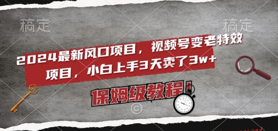 2024最新风口项目，视频号变老特效项目，电脑小白上手3天卖了3w+，保姆级教程【揭秘】-连烟牍库