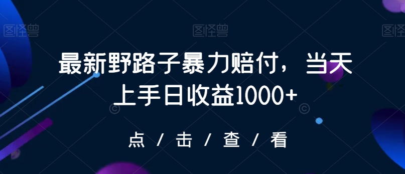 最新野路子暴力赔付，当天上手日收益1000+【仅揭秘】-连烟牍库