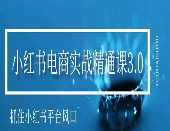 小红书电商实战精通课3.0，抓住小红书平台的风口，不错过有一个赚钱的机会-连烟牍库