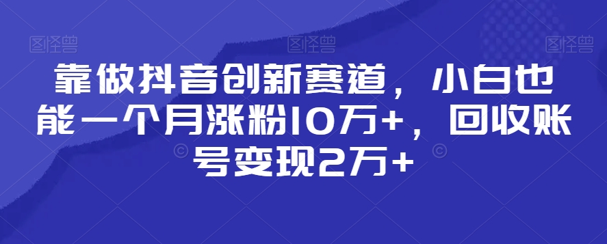 靠做抖音创新赛道，小白也能一个月涨粉10万+，回收账号变现2万+【揭秘】-连烟牍库