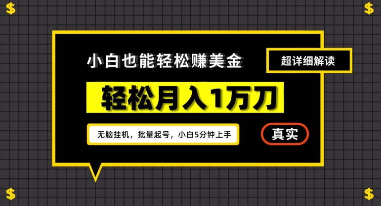 谷歌看广告撸美金2.0，无脑挂机，多号操作，月入1万刀【揭秘】-连烟牍库