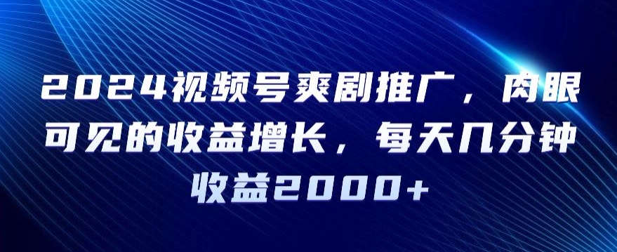 2024视频号爽剧推广，肉眼可见的收益增长，每天几分钟收益2000+【揭秘】-连烟牍库