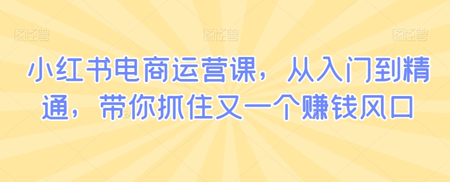 小红书电商运营课，从入门到精通，带你抓住又一个赚钱风口-连烟牍库