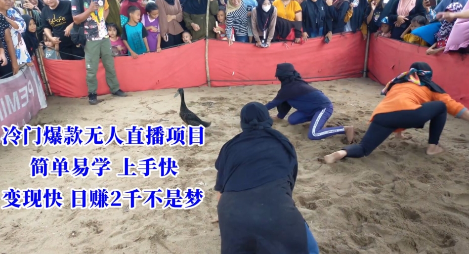 冷门爆款无人直播项目，简单易学上手快，变现快日赚2千不是梦【揭秘】-连烟牍库
