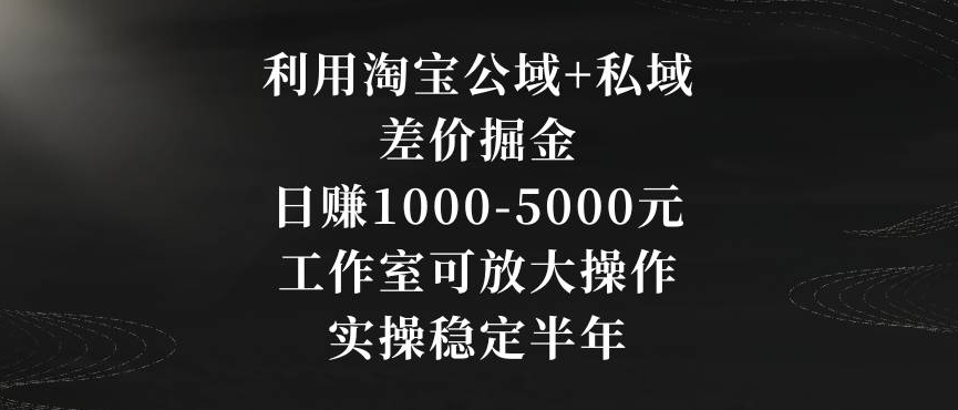 利用淘宝公域+私域差价掘金，日赚1000-5000元，工作室可放大操作，实操稳定半年【揭秘】-连烟牍库