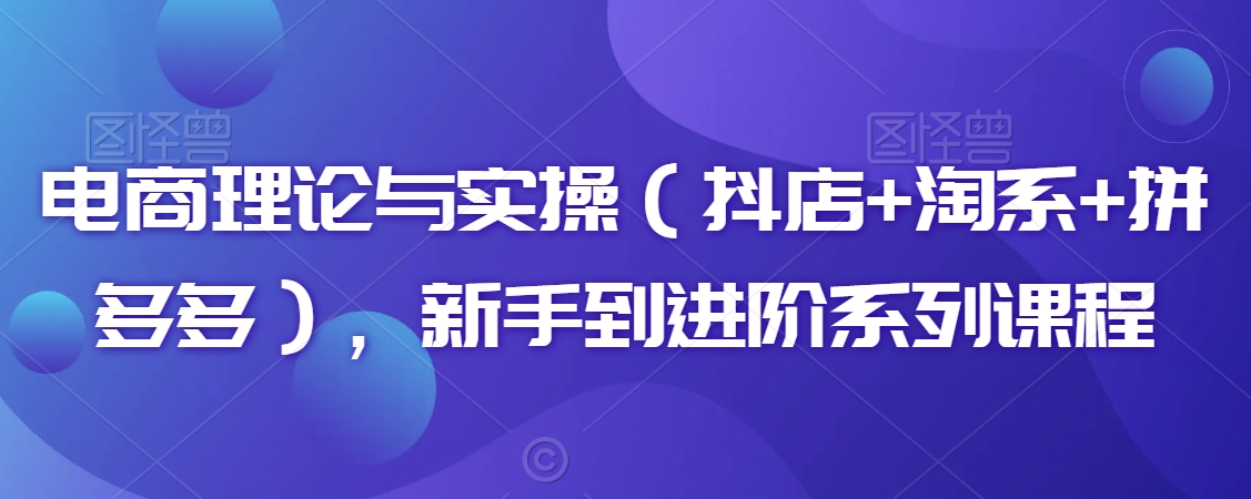 电商理论与实操（抖店+淘系+拼多多），新手到进阶系列课程-连烟牍库