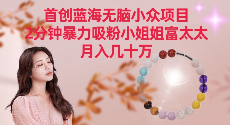 首创蓝海无脑小众项目，2分钟暴力吸粉小姐姐富太太，月入几十万【揭秘】-连烟牍库