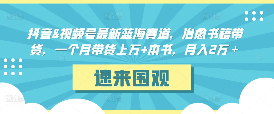 抖音&视频号最新蓝海赛道，治愈书籍带货，一个月带货上万+本书，月入2万＋【揭秘】-连烟牍库