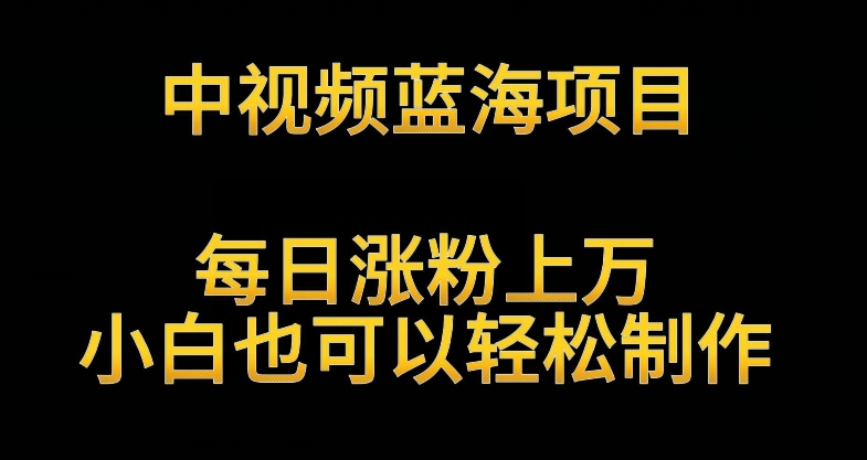 中视频蓝海项目，解读英雄人物生平，每日涨粉上万，小白也可以轻松制作，月入过万不是梦【揭秘】-连烟牍库