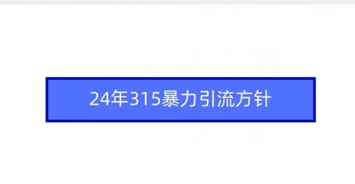 24年315暴力引流方针-连烟牍库