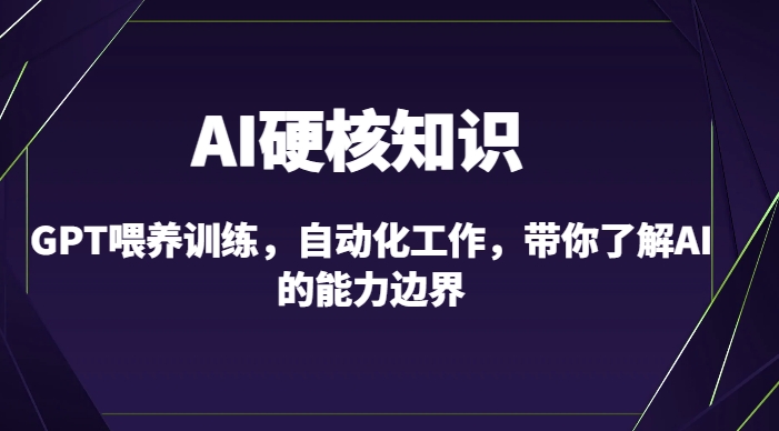 AI硬核知识-GPT喂养训练，自动化工作，带你了解AI的能力边界（10节课）-连烟牍库