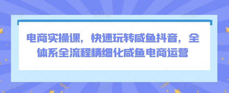 电商实操课，快速玩转咸鱼抖音，全体系全流程精细化咸鱼电商运营-连烟牍库