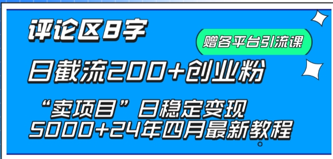 抖音评论区8字日截流200+创业粉 “卖项目”日稳定变现5000+【揭秘】-连烟牍库