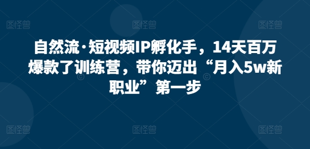 自然流·短视频IP孵化手，14天百万爆款了训练营，带你迈出“月入5w新职业”第一步-连烟牍库