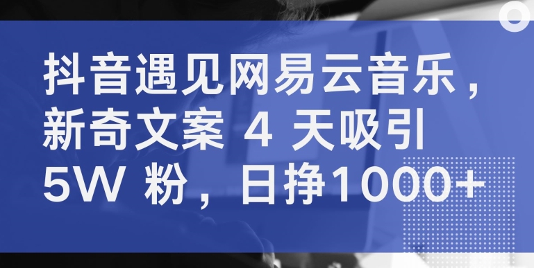 抖音遇见网易云音乐，新奇文案 4 天吸引 5W 粉，日挣1000+【揭秘】-连烟牍库