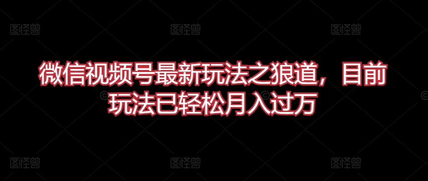 微信视频号最新玩法之狼道，目前玩法已轻松月入过万【揭秘】-连烟牍库