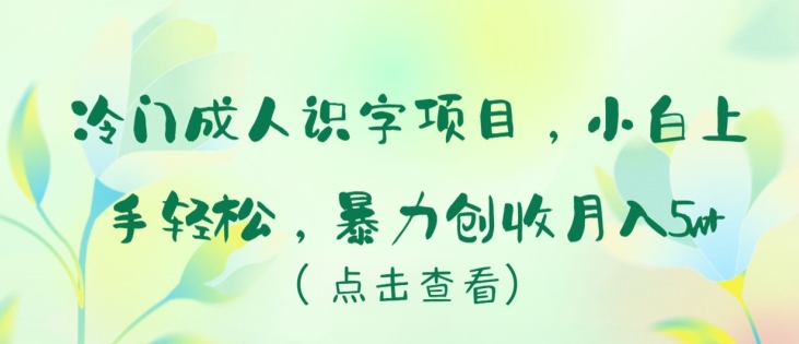 冷门成人识字项目，小白上手轻松，暴力创收月入5w+【揭秘】-连烟牍库