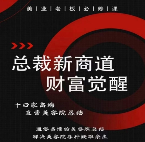 总裁新商道(美业老板必修课)，通俗易懂的美容院总结，解决美容院各种疑难杂症-连烟牍库