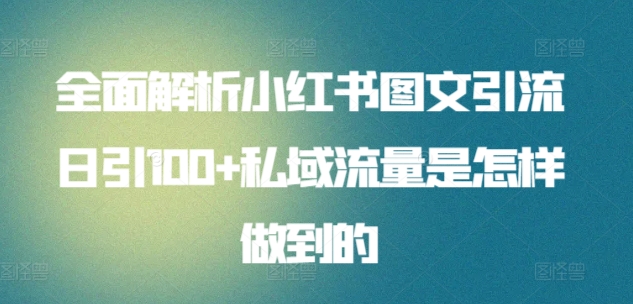 全面解析小红书图文引流日引100+私域流量是怎样做到的【揭秘】-连烟牍库