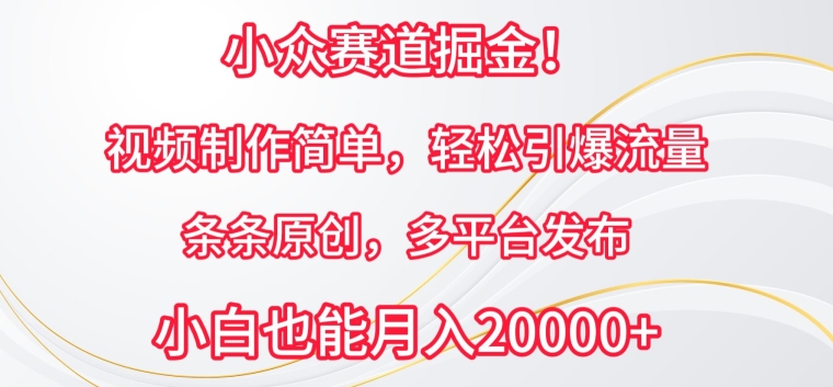 小众赛道掘金，视频制作简单，轻松引爆流量，条条原创，多平台发布【揭秘】-连烟牍库