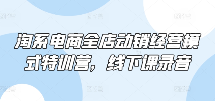 淘系电商全店动销经营模式特训营，线下课录音-连烟牍库