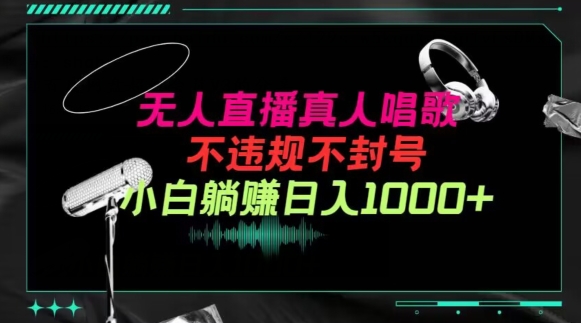 抖音24小时无人直播音乐，不违规，不封号纯撸音浪，小白实操当天日入1000+【揭秘】-连烟牍库