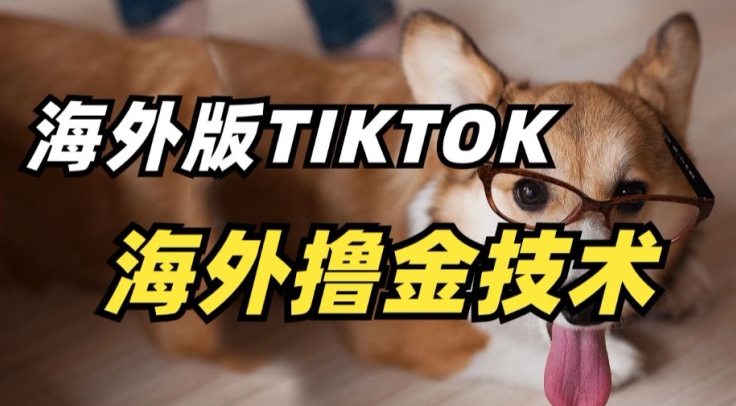 抖音海外版tiktok撸金技术，这个风口行业，赚钱真的不难【揭秘】-连烟牍库