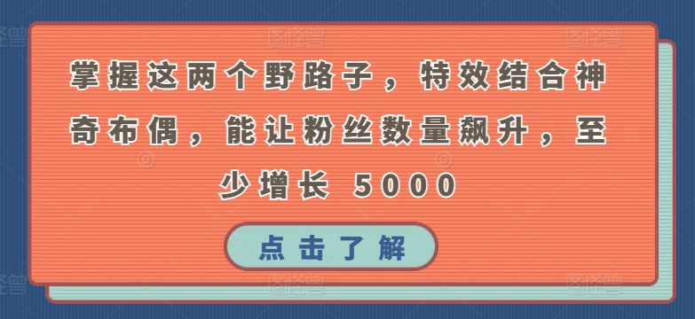 掌握这两个野路子，特效结合神奇布偶，能让粉丝数量飙升，至少增长 5000【揭秘】-连烟牍库