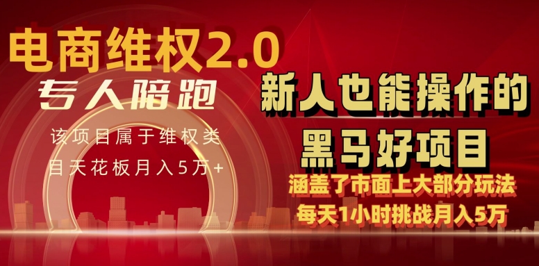 电商维权 4.0 如何做到月入 5 万+每天 1 小时新人也能快速上手【仅揭秘】-连烟牍库