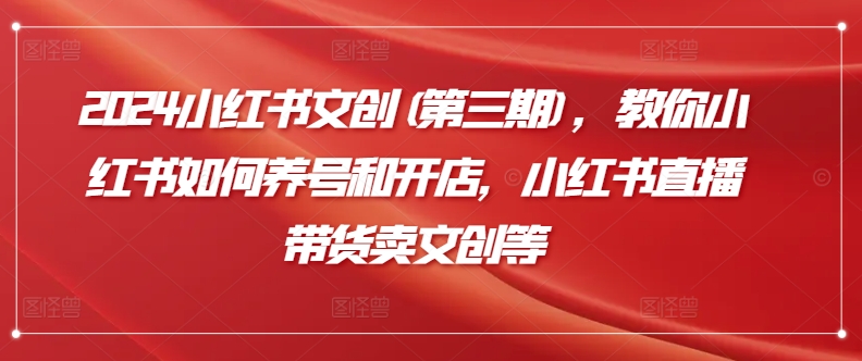 2024小红书文创(第三期)，教你小红书如何养号和开店，小红书直播带货卖文创等-连烟牍库