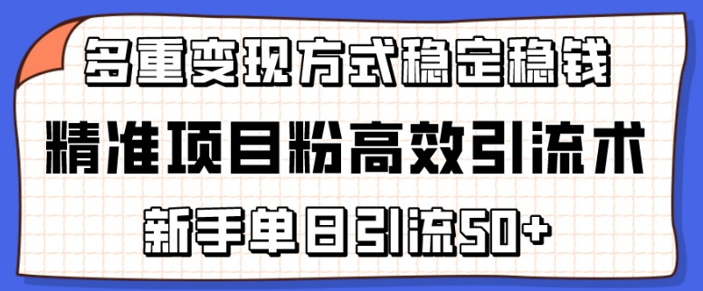 精准项目粉高效引流术，新手单日引流50+，多重变现方式稳定赚钱【揭秘】-连烟牍库