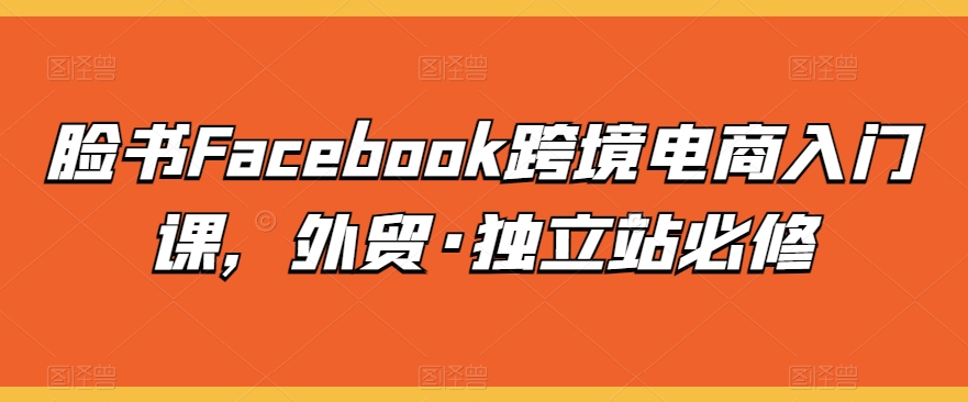 脸书Facebook跨境电商入门课，外贸·独立站必修-连烟牍库