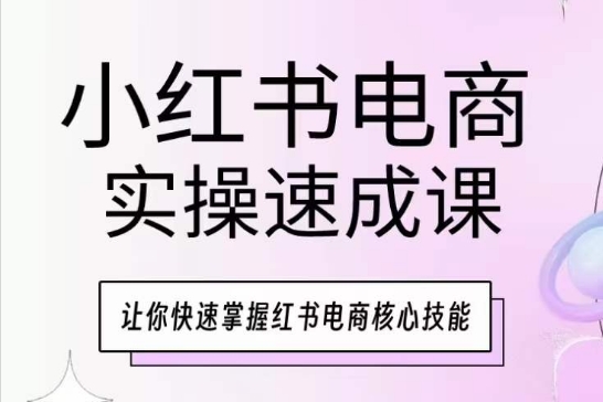 小红书电商实操速成课，让你快速掌握红书电商核心技能-连烟牍库