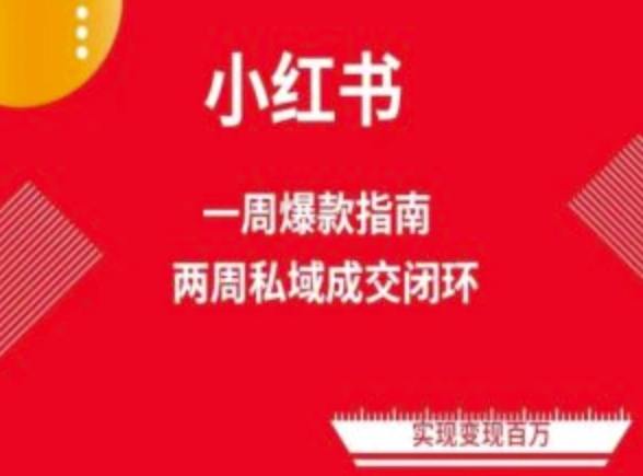 爆款小红书免费流量体系课程(两周变现)，小红书电商教程-连烟牍库