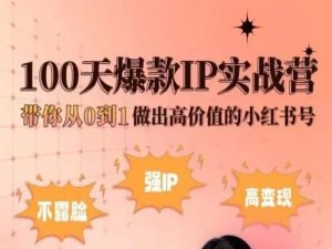 小红书100天爆款IP实战营，带你从0到1做出高价值的小红书号-连烟牍库