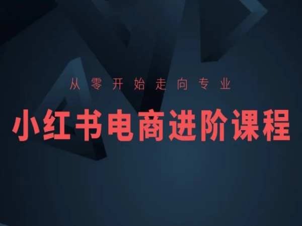 从零开始走向专业，小红书电商进阶课程-连烟牍库
