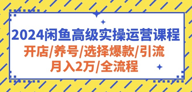 2024闲鱼高级实操运营课程：开店/养号/选择爆款/引流/月入2万/全流程-连烟牍库