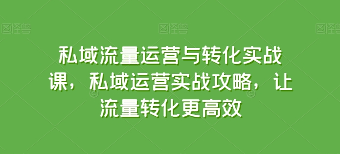 私域流量运营与转化实战课，私域运营实战攻略，让流量转化更高效-连烟牍库