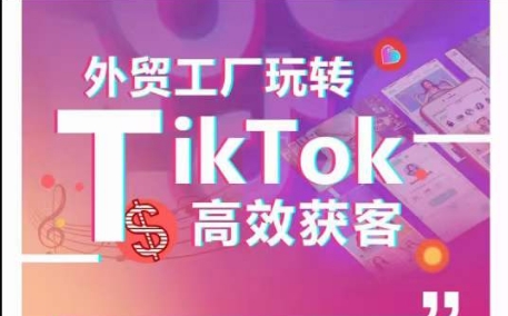 外贸工厂玩转TikTok高效获客，多种引流方式与账号定位技巧，拆解爆款短视频打造成功案例-连烟牍库
