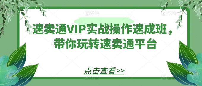 速卖通VIP实战操作速成班，带你玩转速卖通平台-连烟牍库