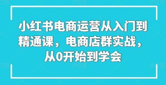 小红书电商运营从入门到精通课，电商店群实战，从0开始到学会-连烟牍库