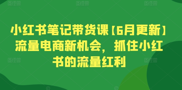 小红书笔记带货课【6月更新】流量电商新机会，抓住小红书的流量红利-连烟牍库