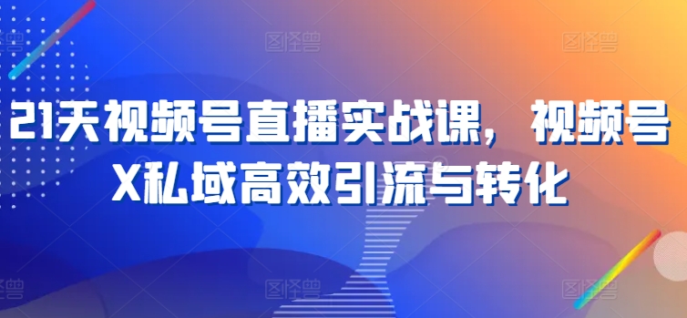 21天视频号直播实战课，视频号X私域高效引流与转化-连烟牍库
