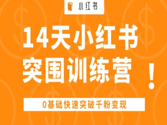 14天小红书突围训练营 ，0基础快速突破千粉变现-连烟牍库