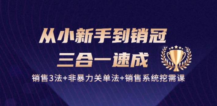 从小新手到销冠 三合一速成：销售3法+非暴力关单法+销售系统挖需课 (27节)-连烟牍库