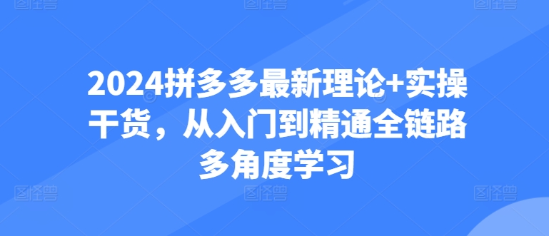 2024拼多多最新理论+实操干货，从入门到精通全链路多角度学习-连烟牍库