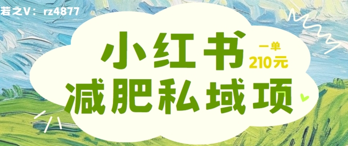 小红书减肥粉，私域变现项目，一单就达210元，小白也能轻松上手【揭秘】-连烟牍库
