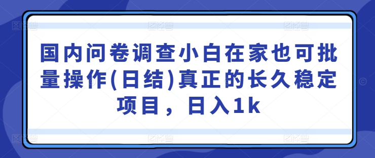 国内问卷调查小白在家也可批量操作(日结)真正的长久稳定项目，日入1k【揭秘】-连烟牍库