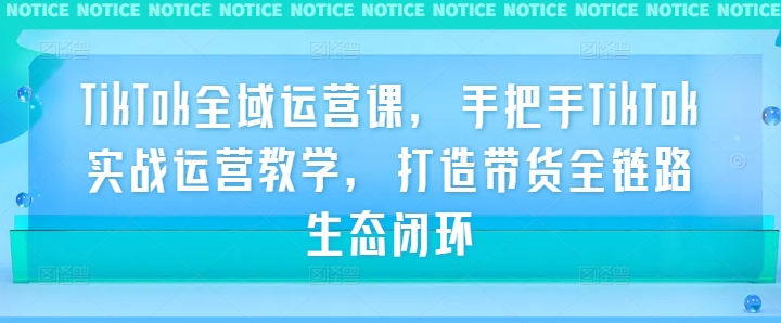 TikTok全域运营课，手把手TikTok实战运营教学，打造带货全链路生态闭环-连烟牍库